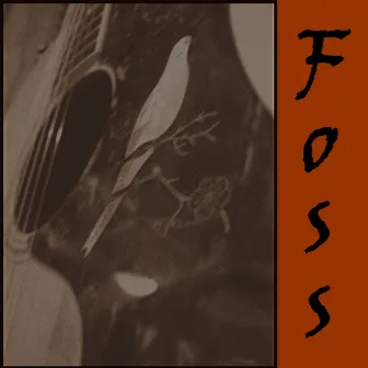 Foss EP by Unknown Artist