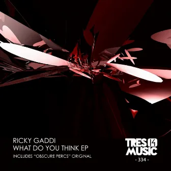 WHAT DO YOU THINK EP by Ricky Gaddi