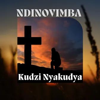 Ndinovimba by Kudzi Nyakudya