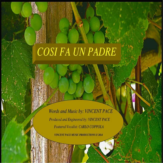 Cosi fa un padre (feat. Carlo Coppola)