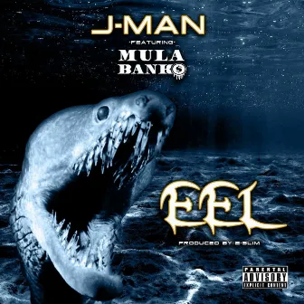 Eel by J-Man