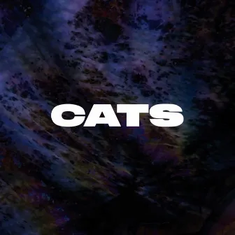 Cats by LIUN + The Science Fiction Band