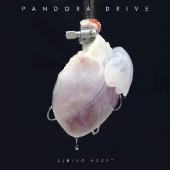 Albino Heart by Pandora Drive