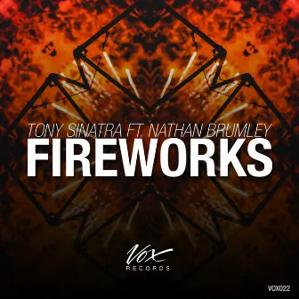 Fireworks by Tony Sinatra