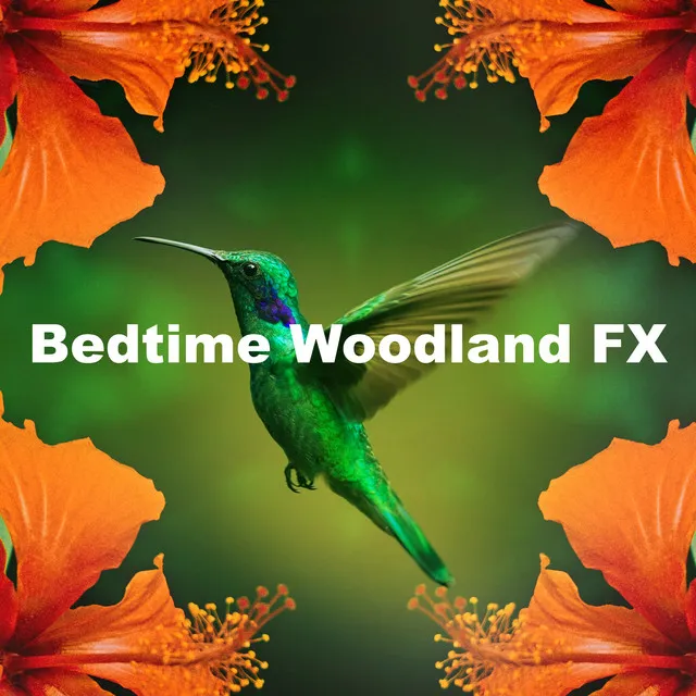 Bedtime Woodland FX