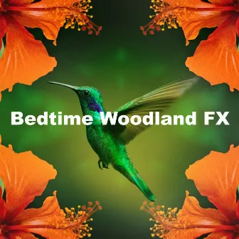 Bedtime Woodland FX by Zen Music Garden & Spa