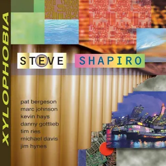 Xylophobia by Steve Shapiro