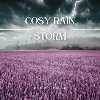 Cosy Rain Storm by Odd Weather