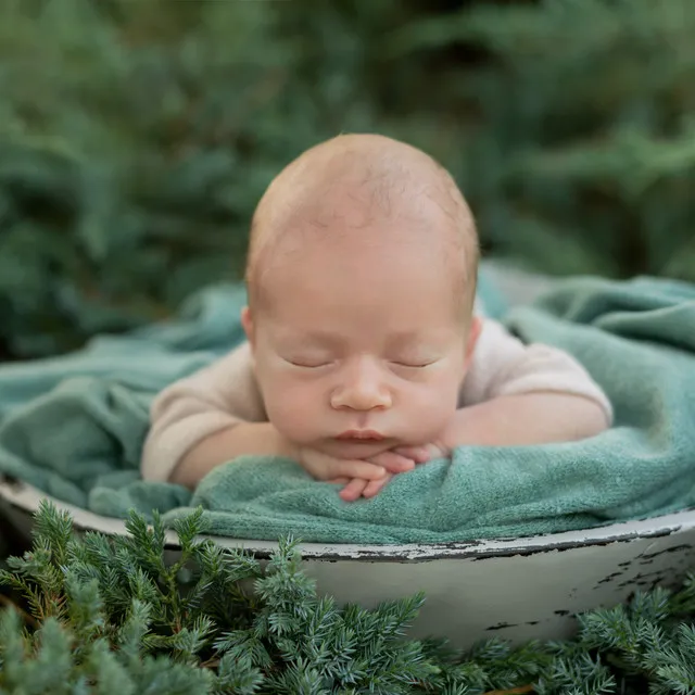 Sons D'Oiseaux Relaxants (Piano)