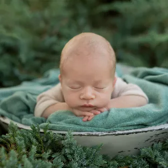 Sons D'Oiseaux Relaxants (Piano) by Berceuse Pour Bébé