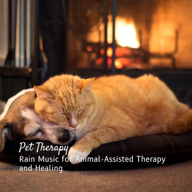 Pet Therapy: Rain Music for Animal-Assisted Therapy and Healing