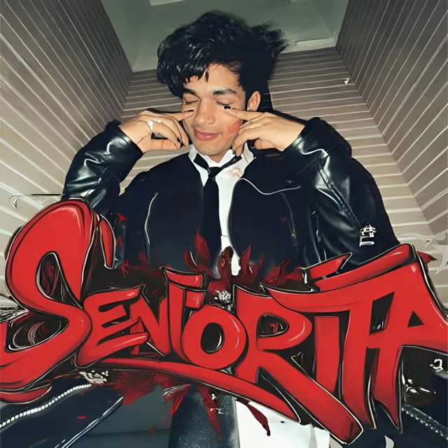 Señorita - Intro