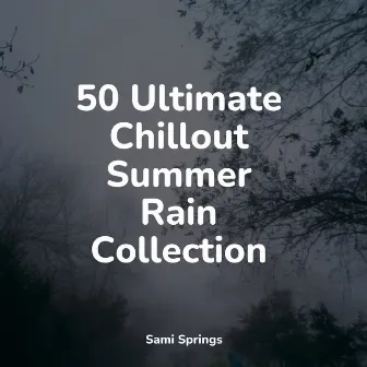 50 Ultimate Chillout Summer Rain Collection by Sleep Recording Sounds