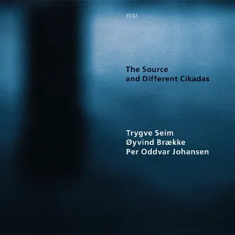 The Source And Different Cikadas by Trygve Seim