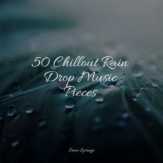 50 Chillout Rain Drop Music Pieces by Tranquil Music Sound of Nature