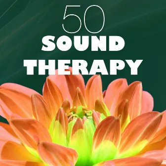 50 Sound Therapy - Reiki Healing Light, Sounds of Nature Ambience for Sweet Repose by Sound Therapy Music Specialists