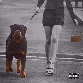 Rottweiler by Tejota Gang