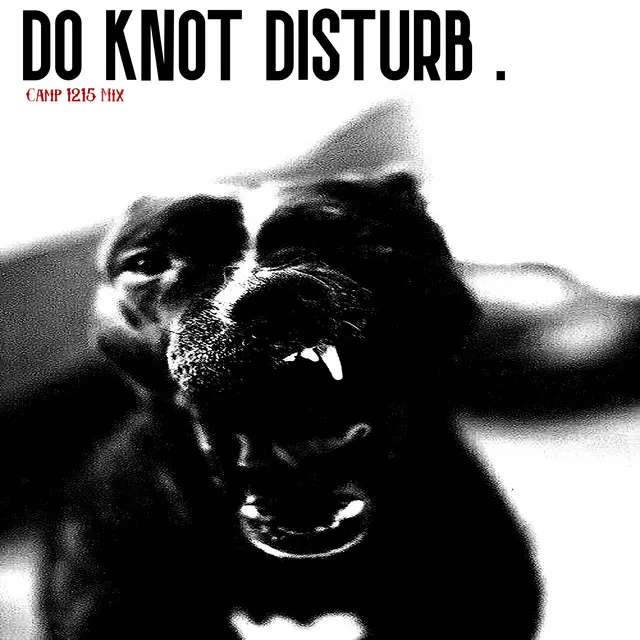 Do Knot Disturb - Camp 1215 Mix