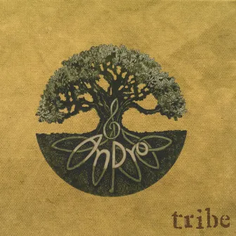 Tribe by Andro