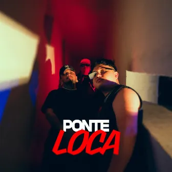 Ponte Loca by Don Alberici