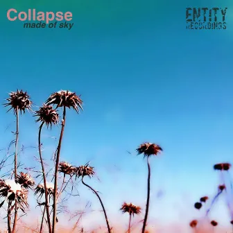 Made of Sky by Collapse