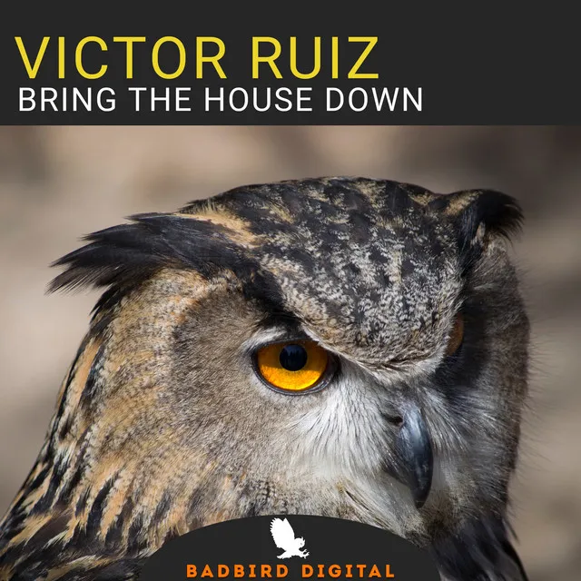 Bring The House Down - Konstantin Yoodza Remix