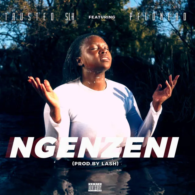 Ngenzeni