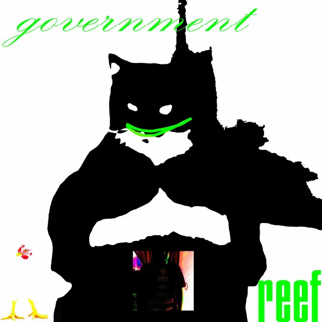 government