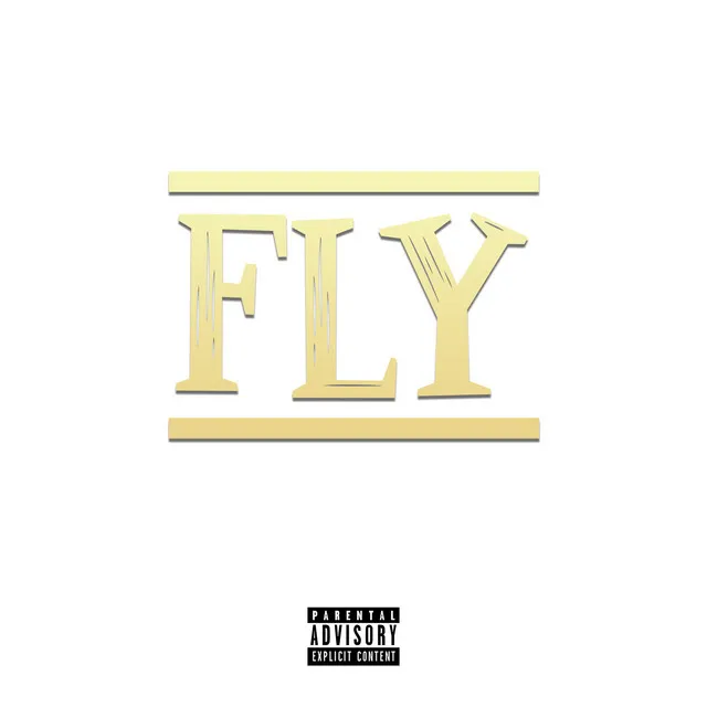 Fly