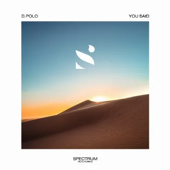 You Said by D.Polo