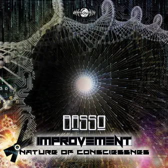 Nature Of Consciessnes by Basso