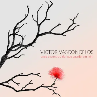 Onde Encontro a Flor Que Guardei em Mim by Victor Vasconcelos