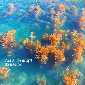 Ocean Garden by Turn On The Sunlight