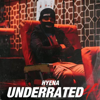 Underrated 4 by Hyena