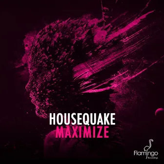 Maximize by Housequake