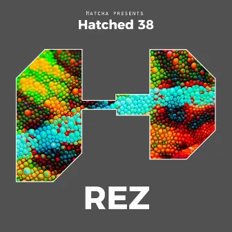 Hatched 38 by Rez