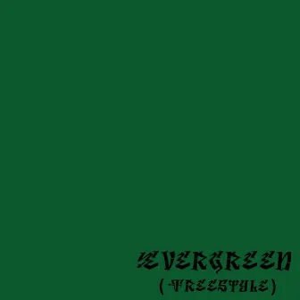 Evergreen(Freestyle) by Thupaki Dheerudu