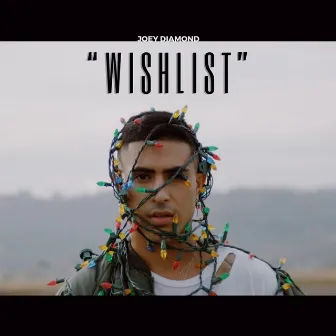 Wishlist by Joey Diamond