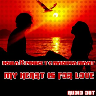 My Heart Is for Love by Drula