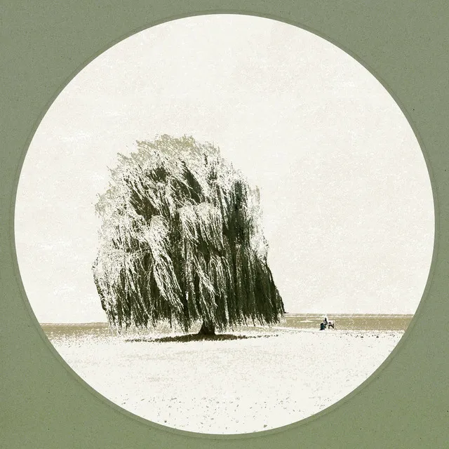 Willow Tree