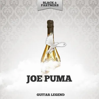 Guitar Legend by Joe Puma