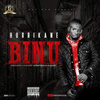 BINU by Hurrikane