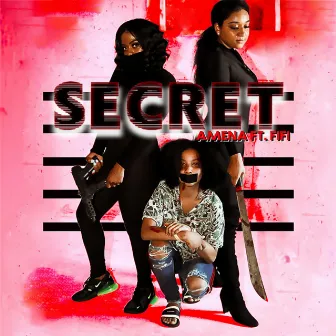 Secret by Amena