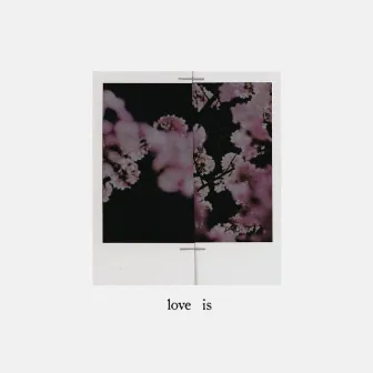 love is by Owen