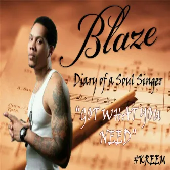 Got What You Need by Blaze