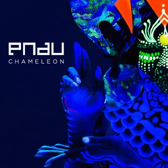 Chameleon by PNAU