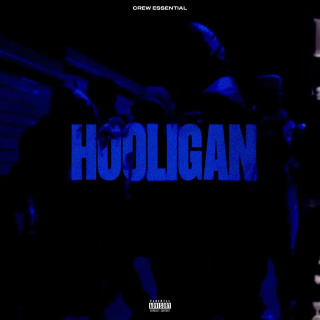 Hooligan