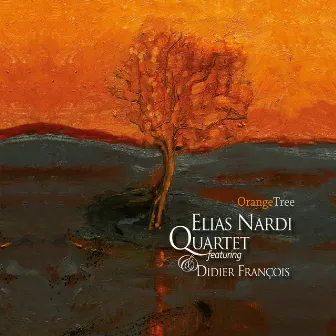 OrangeTree by Elias Nardi