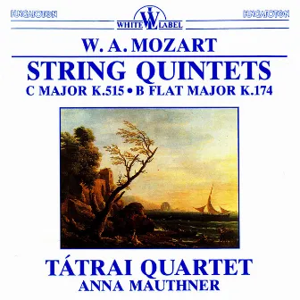 Mozart: String Quintets Nos. 1 & 3 by Anna Mauthner