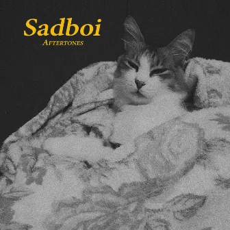 Sadboi by Aftertones